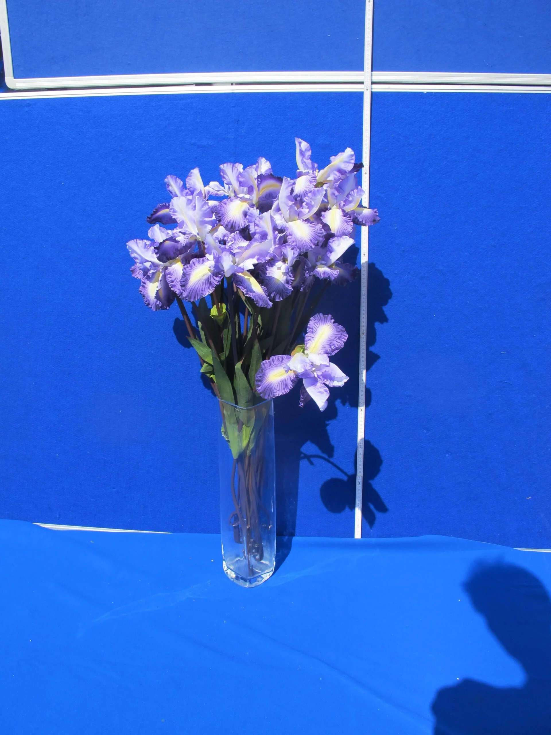 Lilien