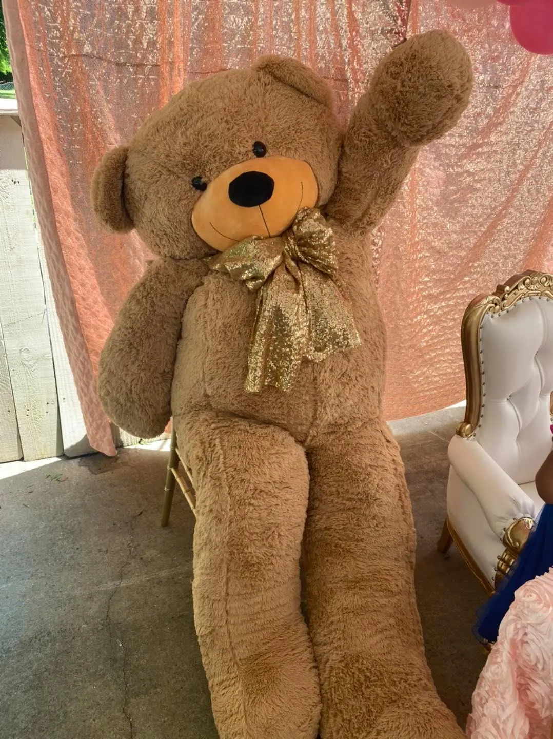 Brown Bear