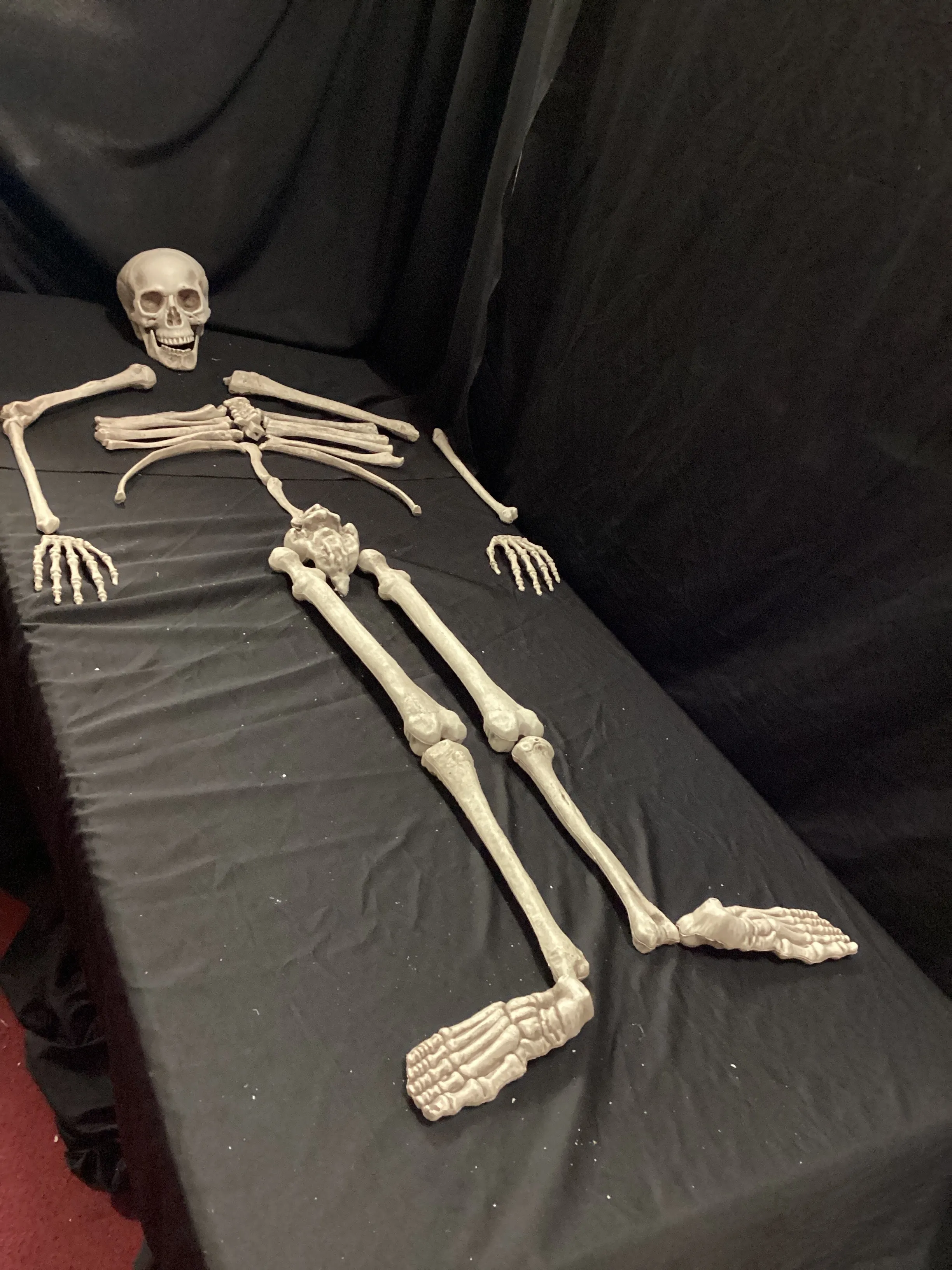 Halloween piece skeleton