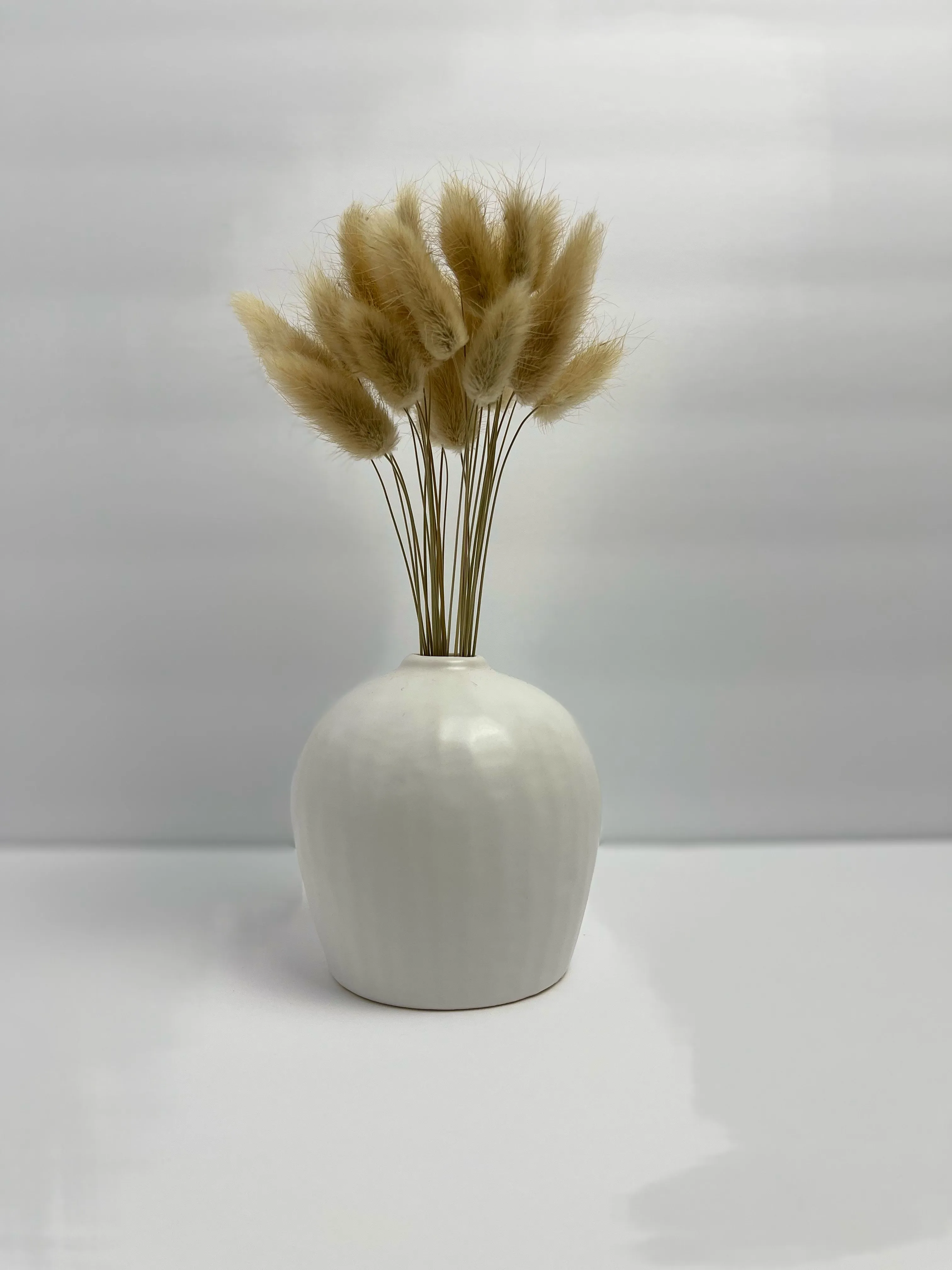Bunny Tails Florals