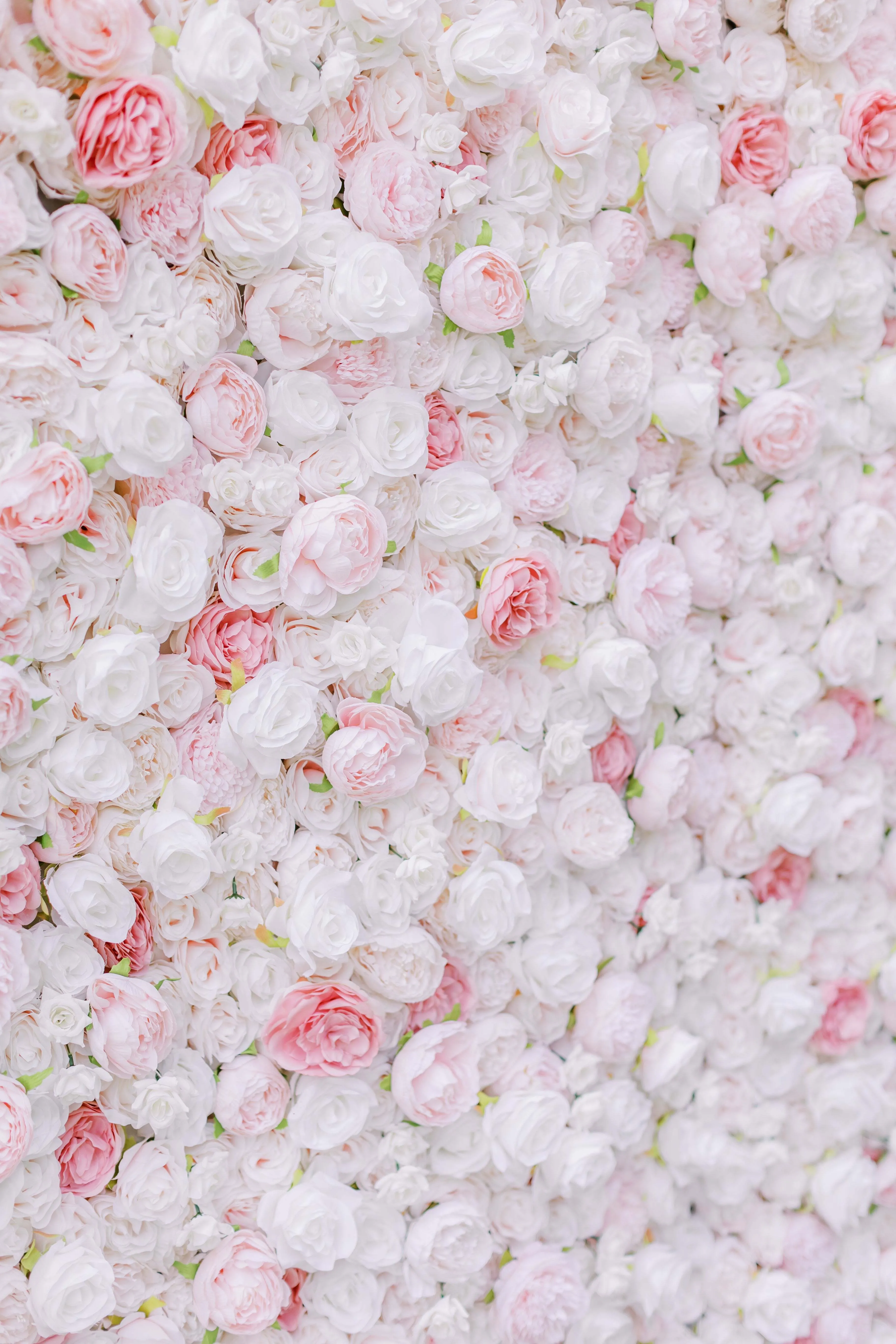 Red flower wall