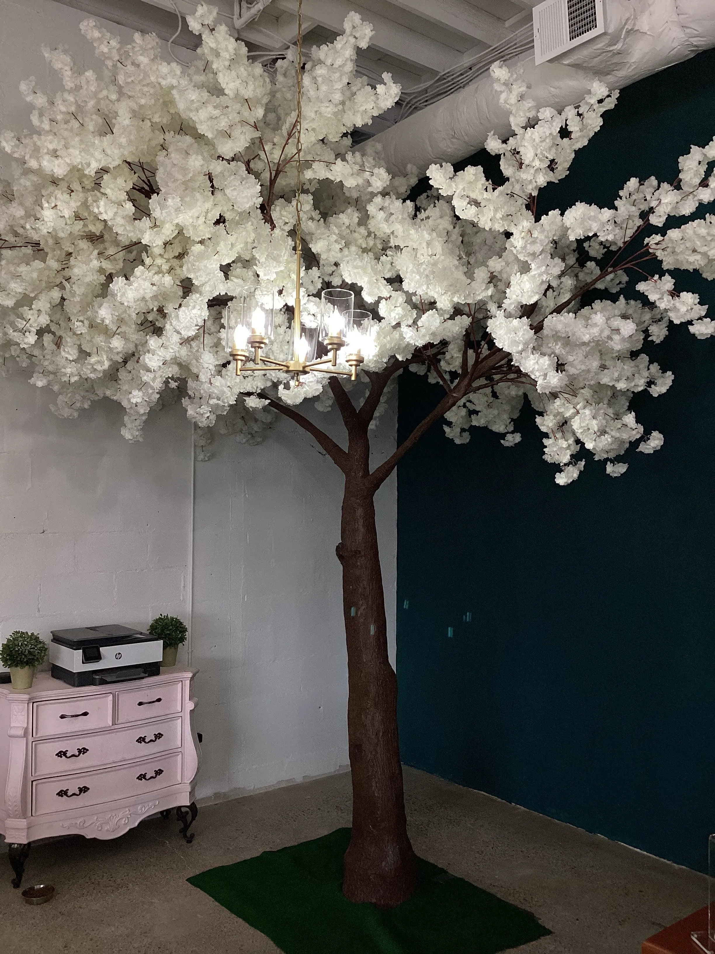 16 ft Cherry Blossom Tree