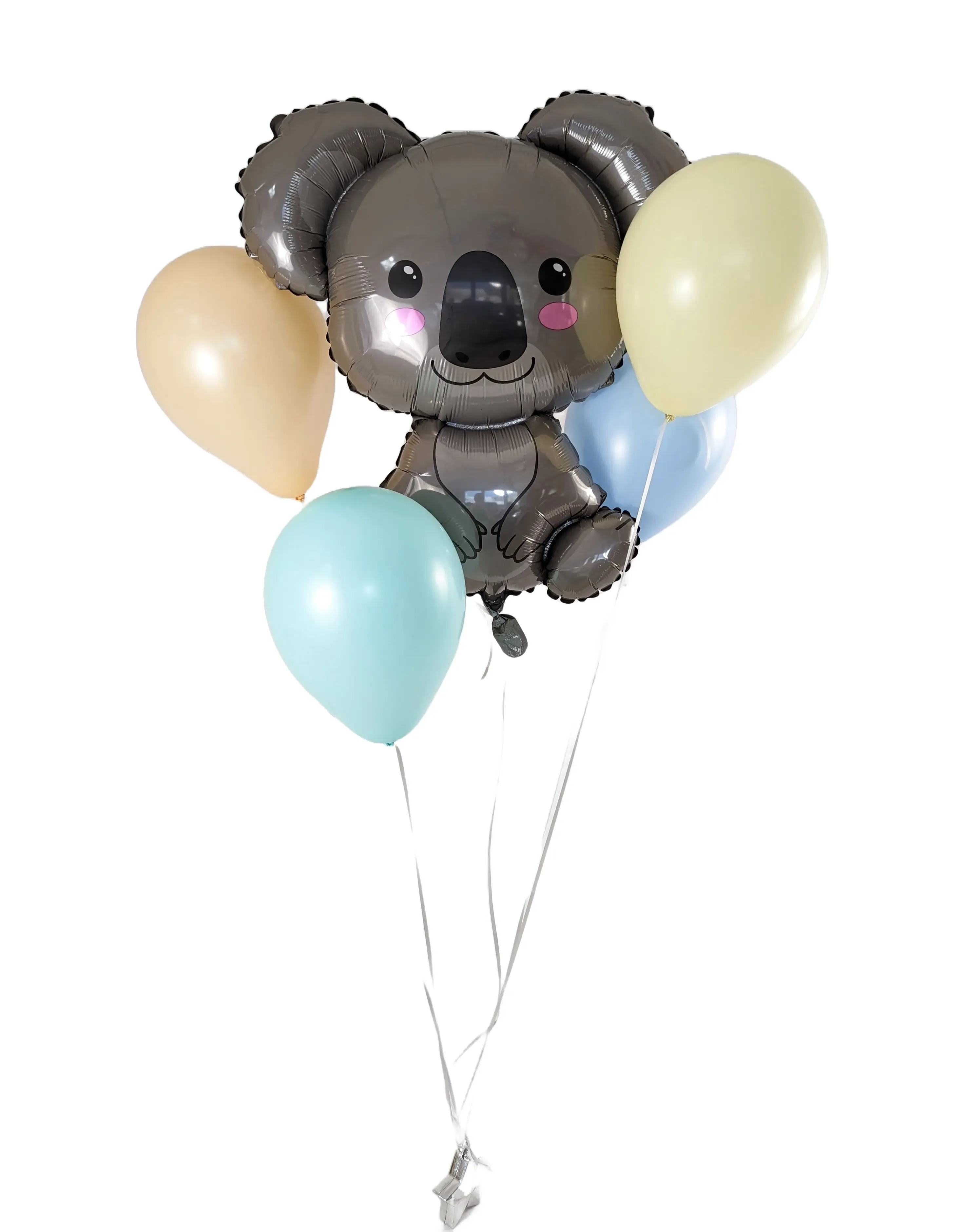 Koalabär Strauss