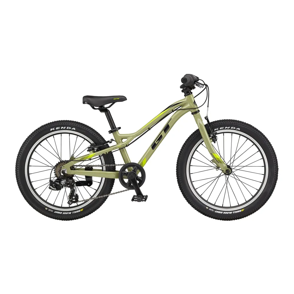 GT Stomper 20"