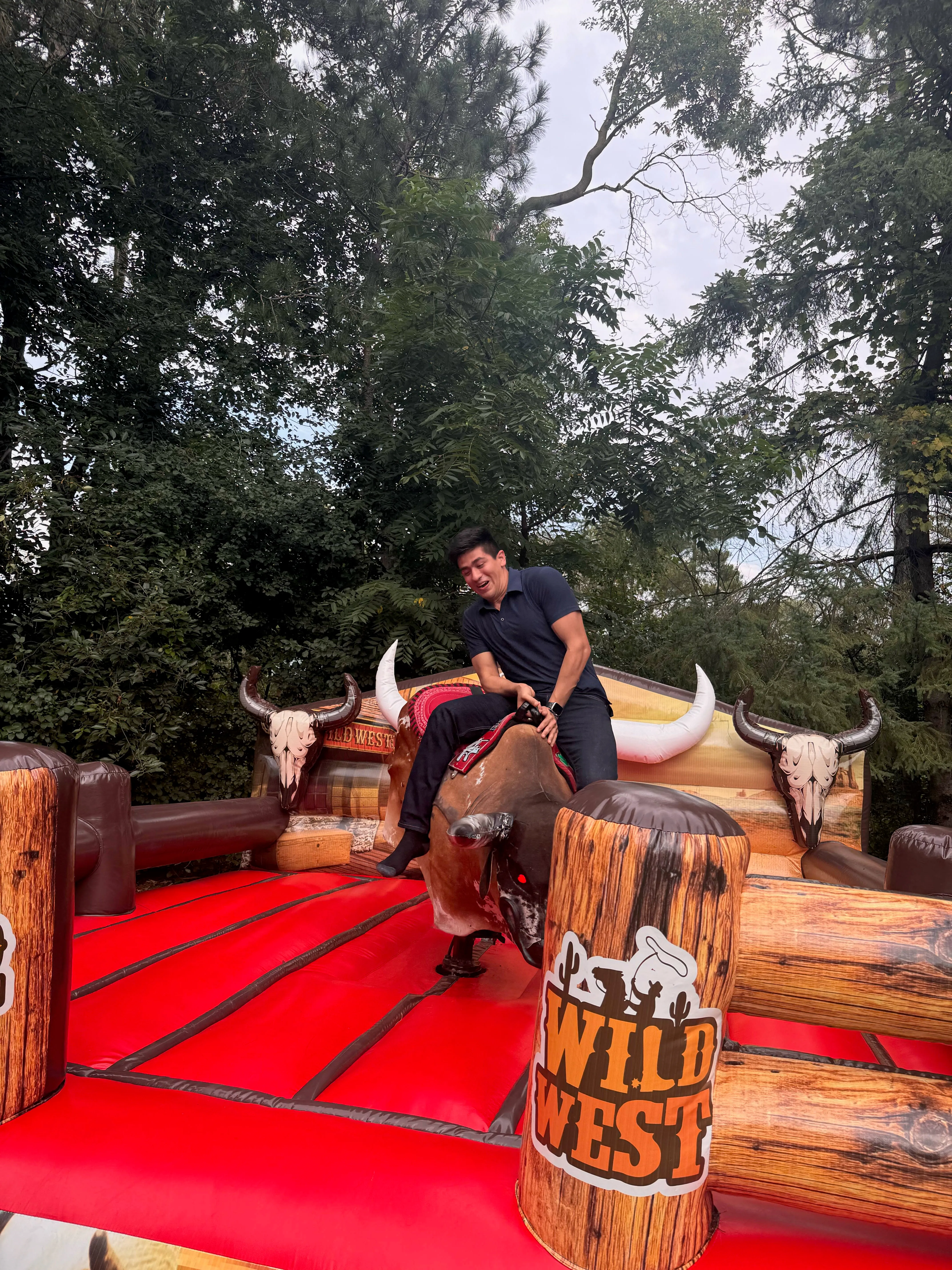 Mechanical Bull