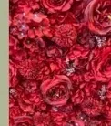 Flower Wall- Red