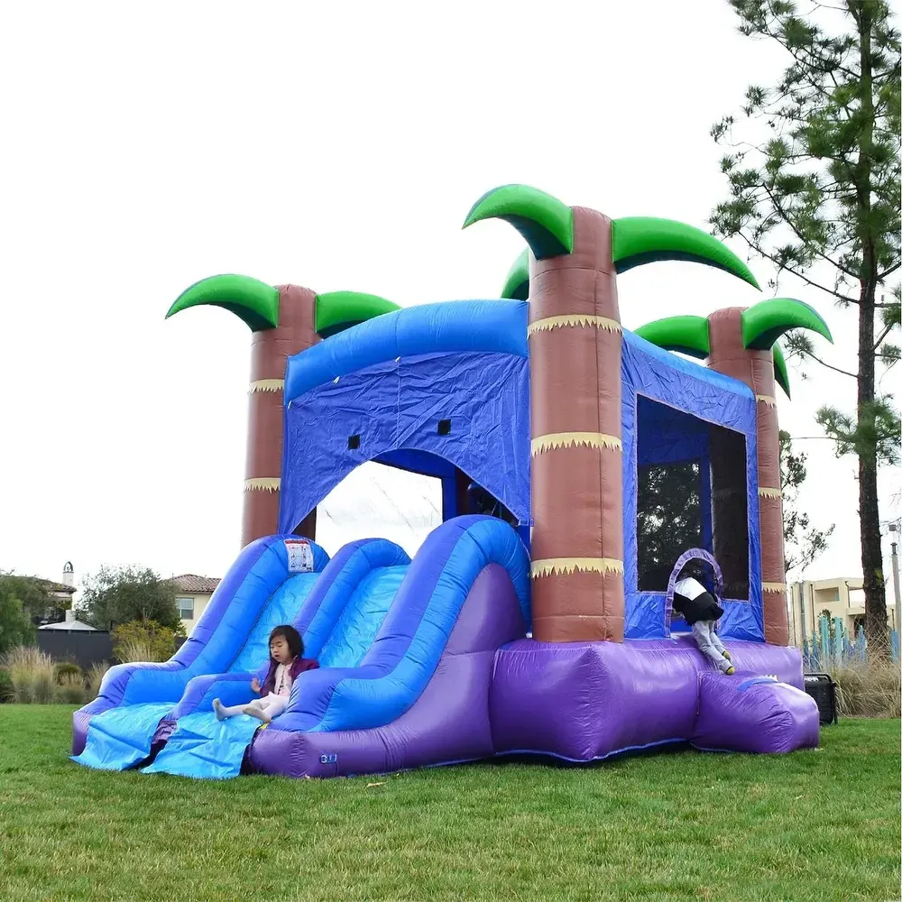 Bounce House Double Slide