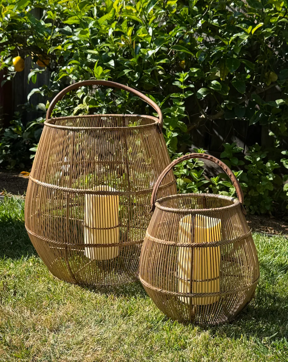 Tropical Lantern - Set of 2