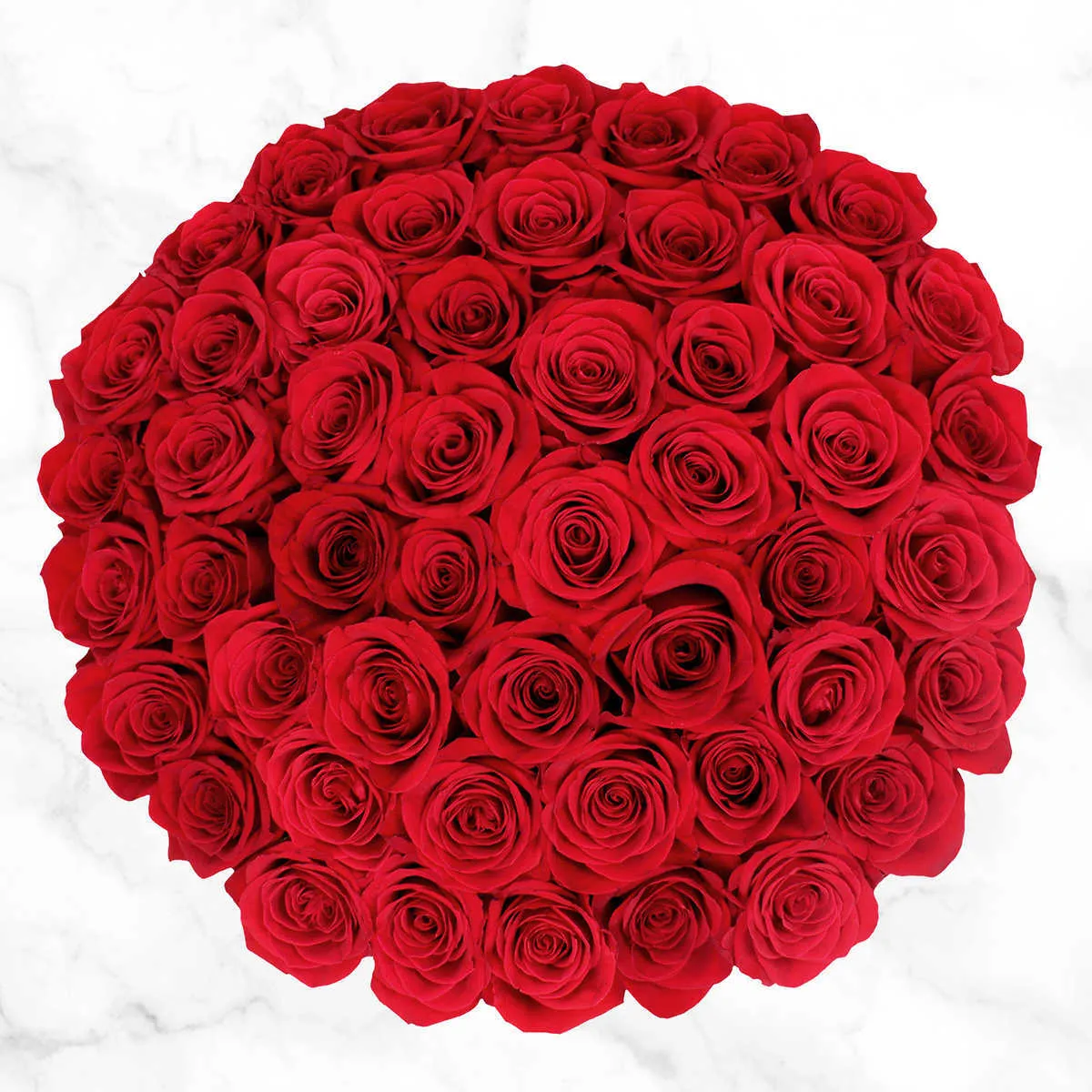 Rose Delivery Service - 50-stems (approx. 18in stem)