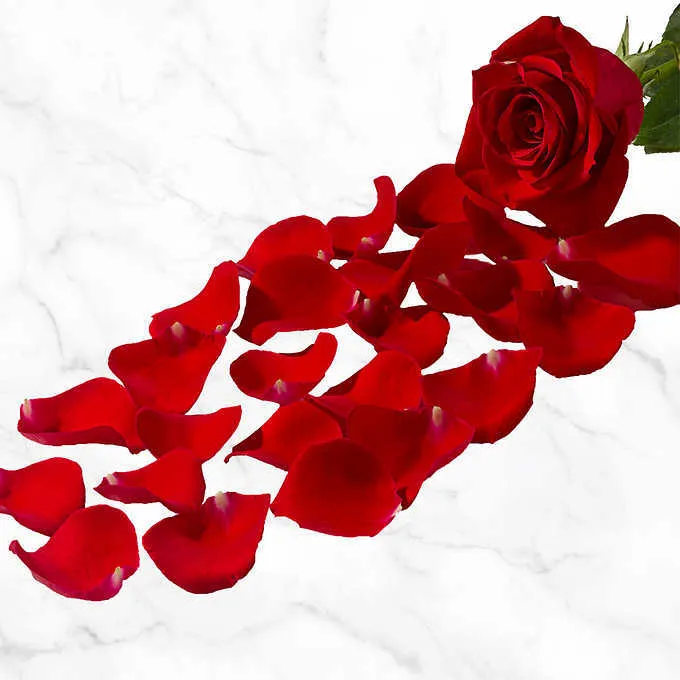 Rose Petals - Loose