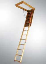 Attic Access Ladder
