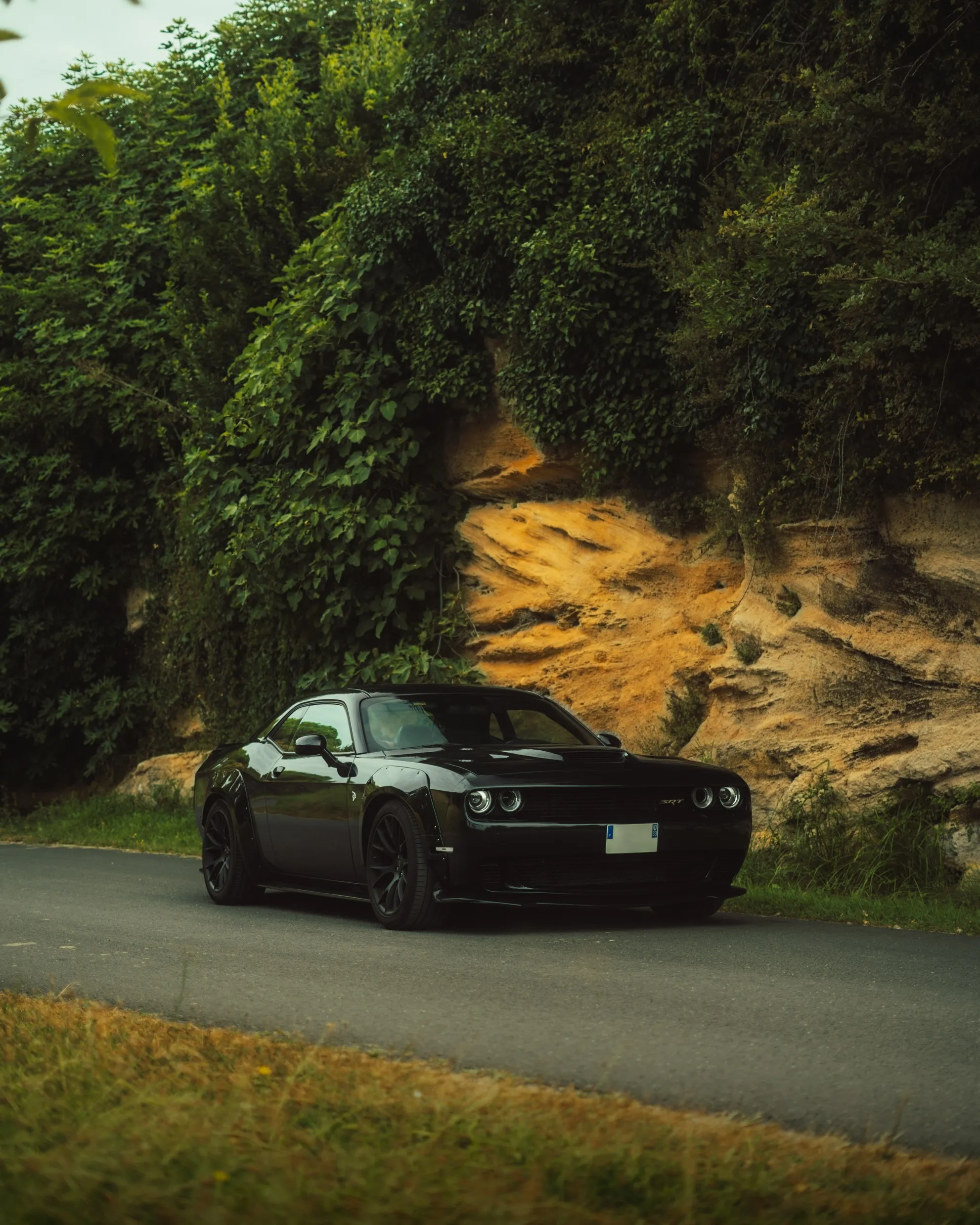 DODGE CHALLENGER HELLCAT WIDEBODY