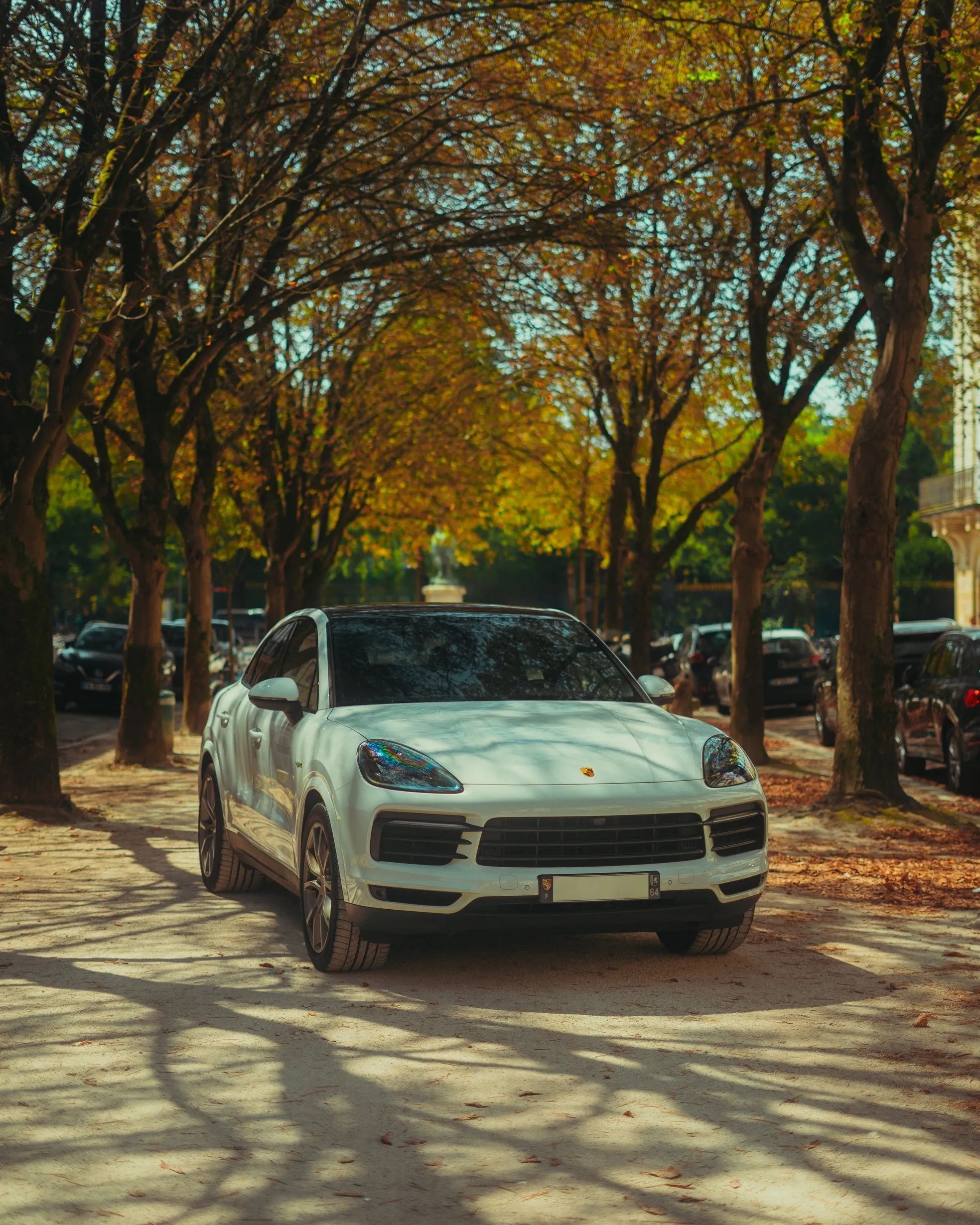PORSCHE CAYENNE