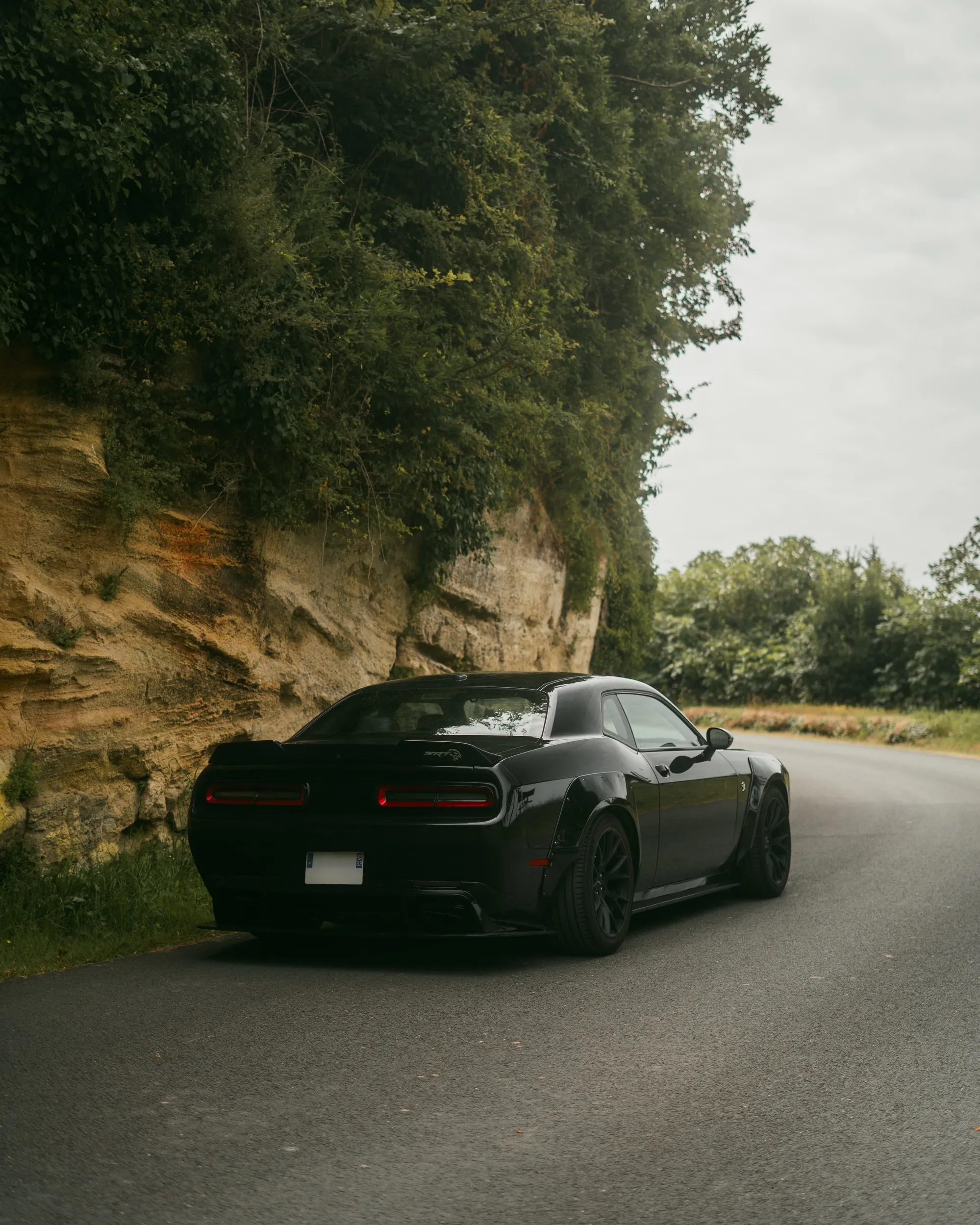 DODGE CHALLENGER HELLCAT WIDEBODY