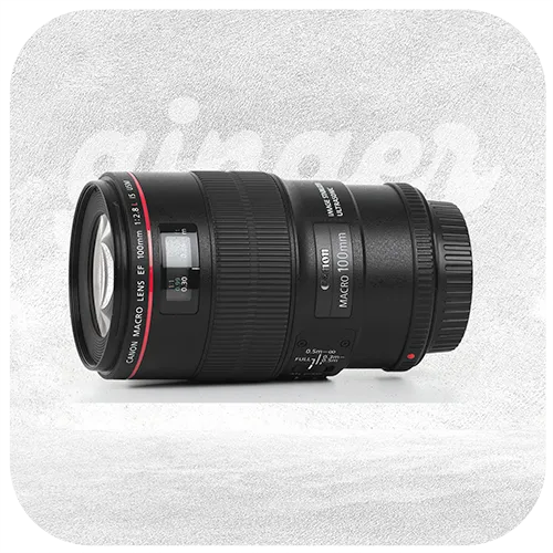 CANON EF 100mm F/2.8 L Macro IS USM