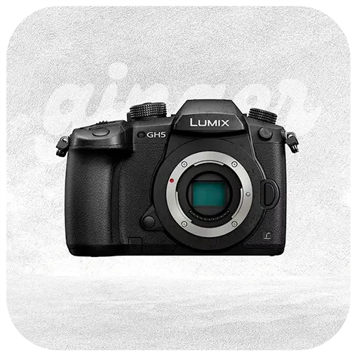 PANASONIC GH5