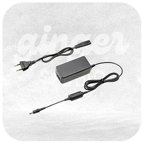 PANASONIC Adaptateur secteur DMW-AC10E