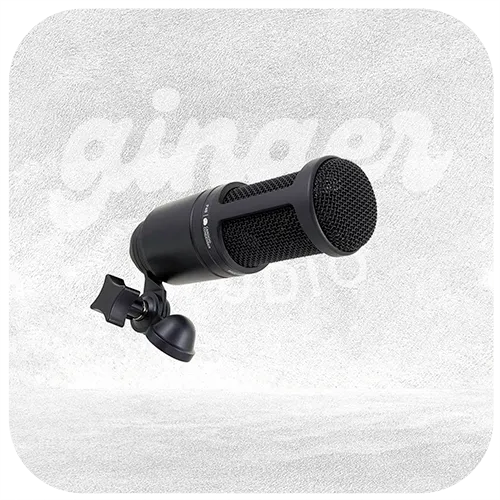 AUDIO TECHNICA AT2020