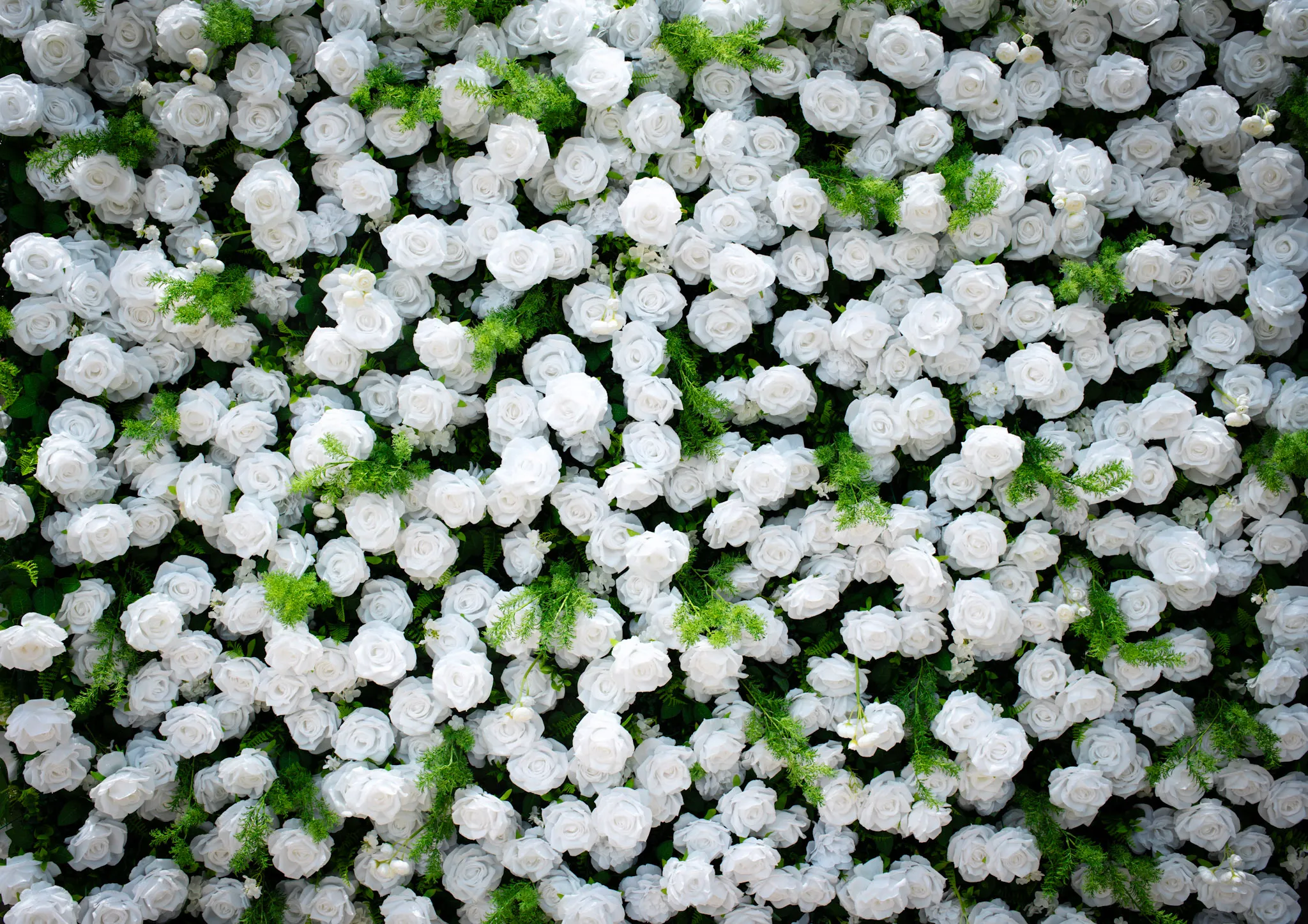 The Forest Wall