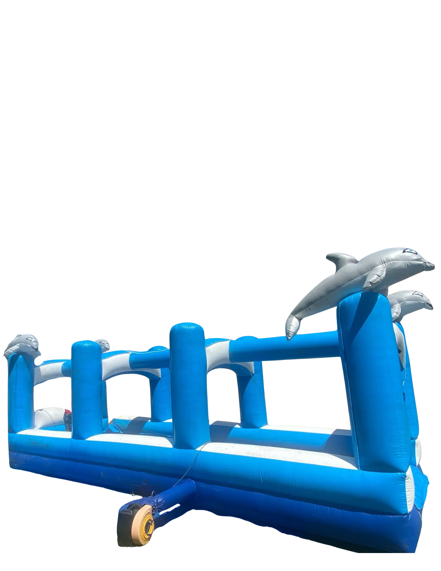 Dolphin slip n slide