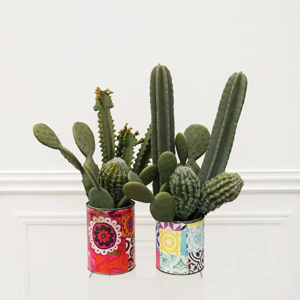 Large Cactus