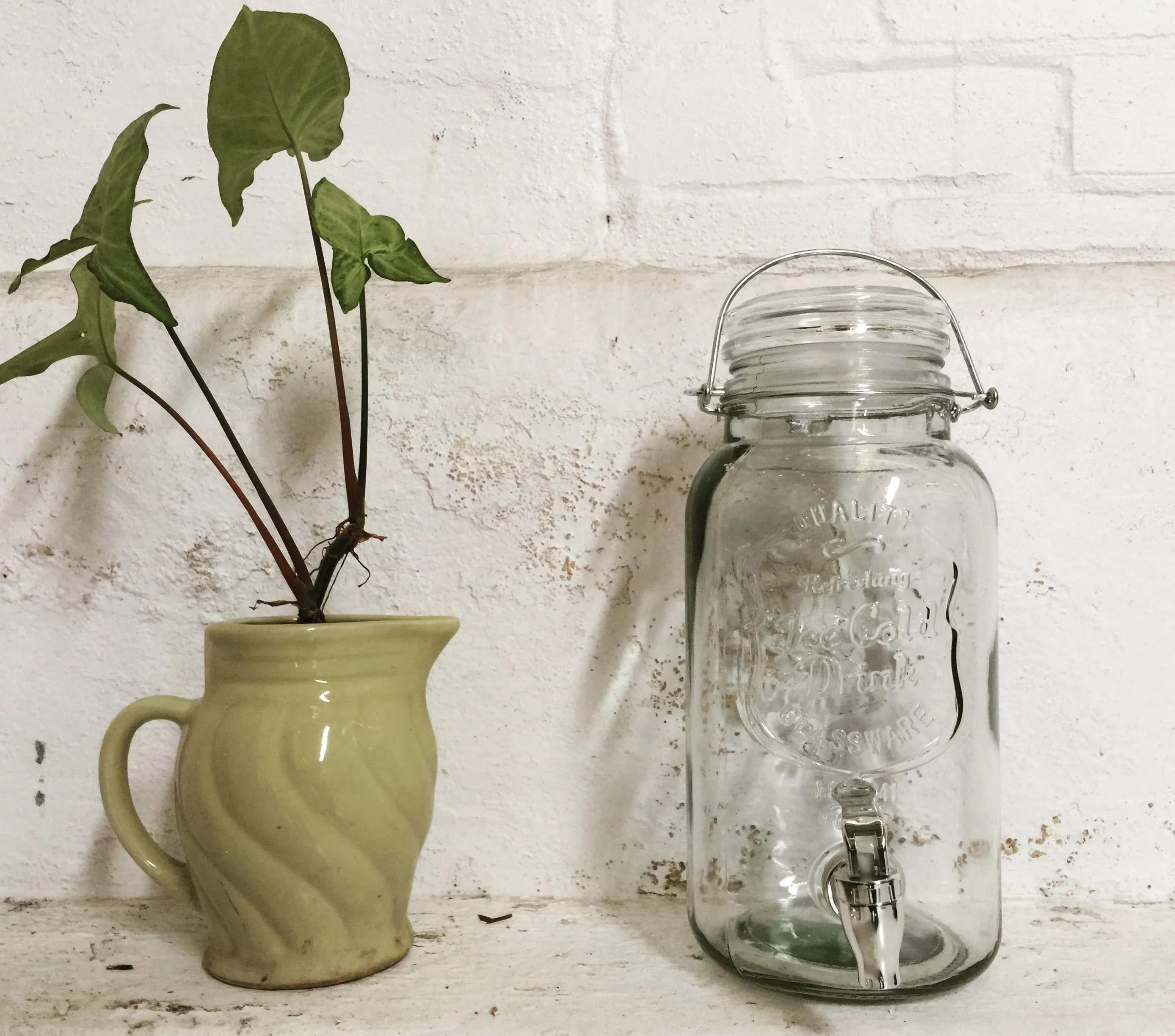 Drink Dispenser