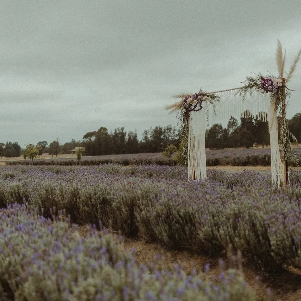 Backdrop - Macrame
