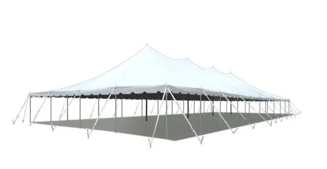 30' x 45' Pole Tent