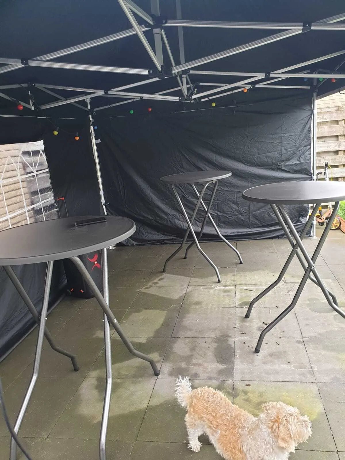 Voordeelpakket: Partytent + statafels & verlichting