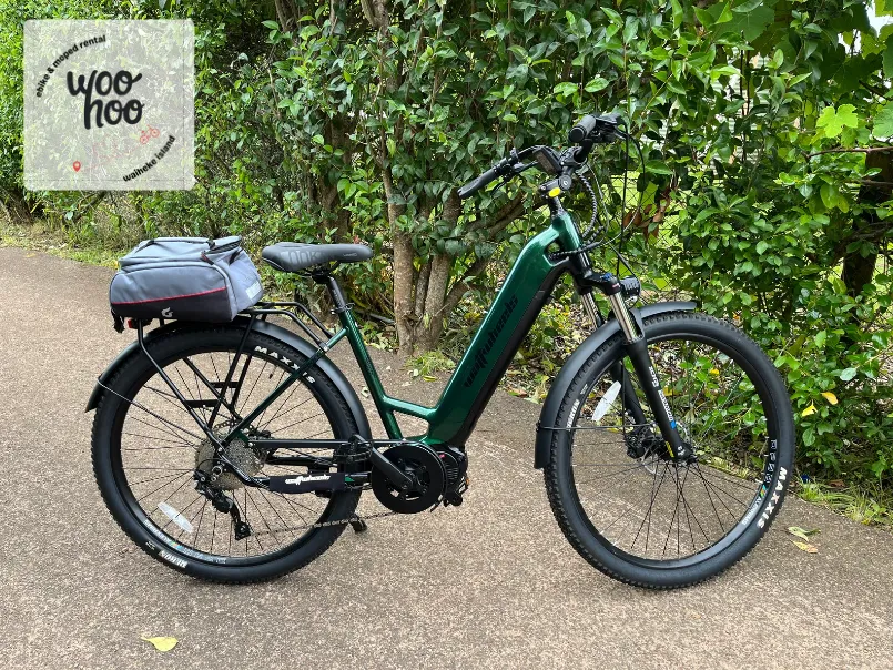 High Power (Torque) e-bike