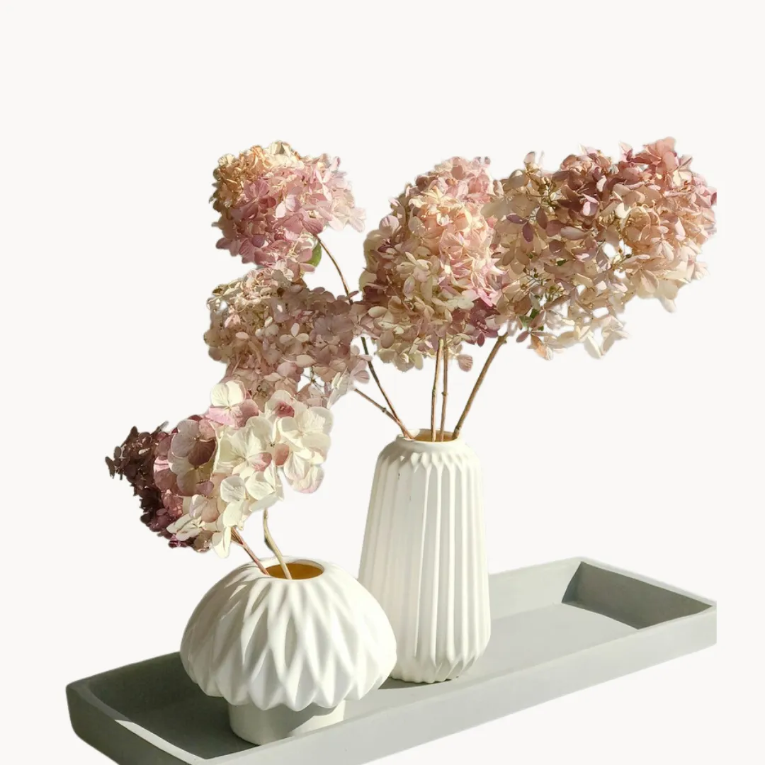 Hydrangea flower