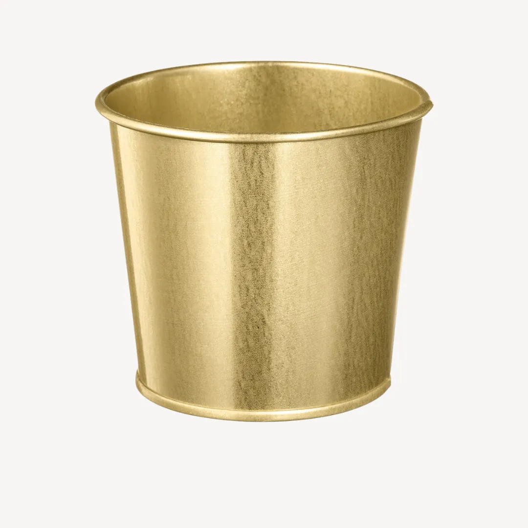 Plant Pot Daidai