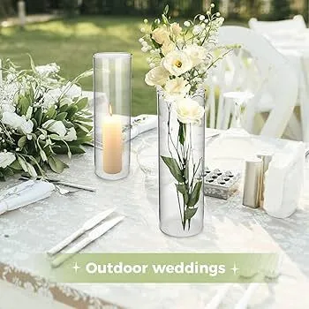 Glass Cylinder Centerpiece