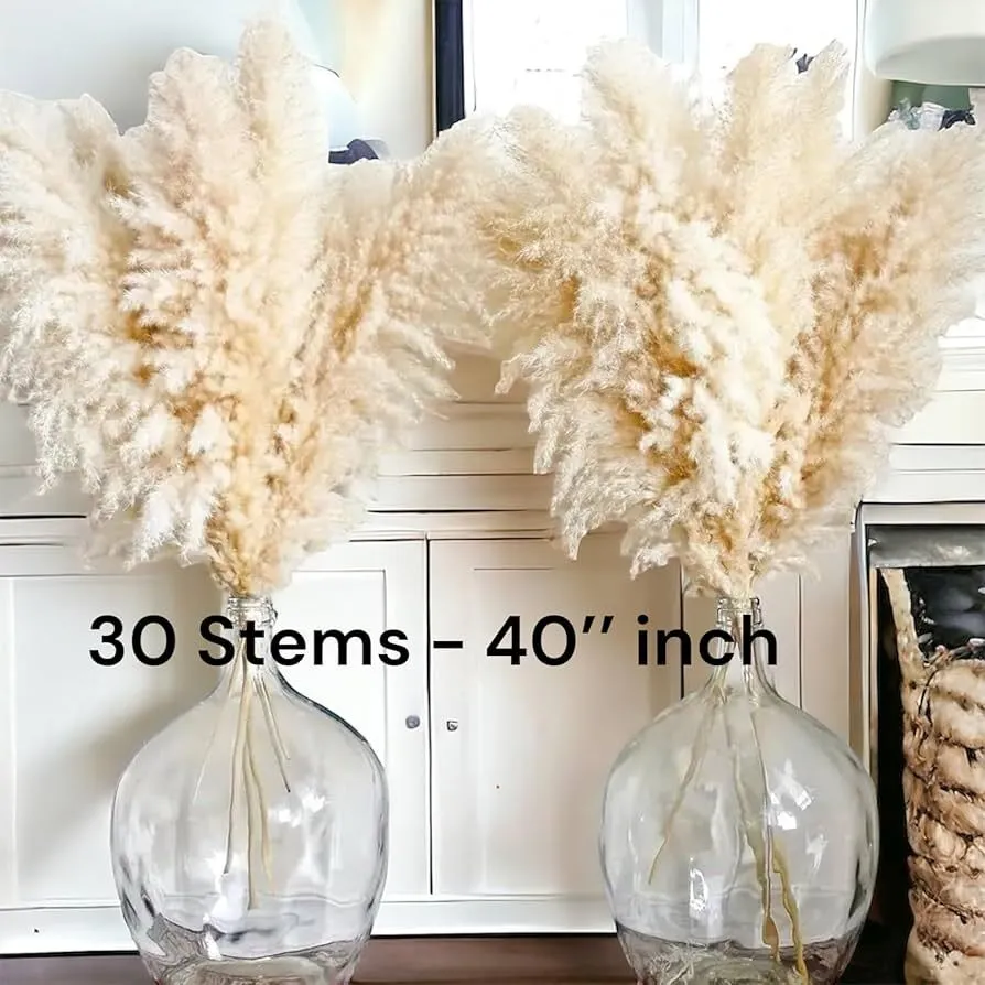 Large Boho Swag w/ Pampas Grass Stems
