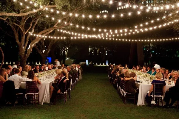 50 ft Soft White Edison Bulbs Party Lights with set up (up to 150 ft)