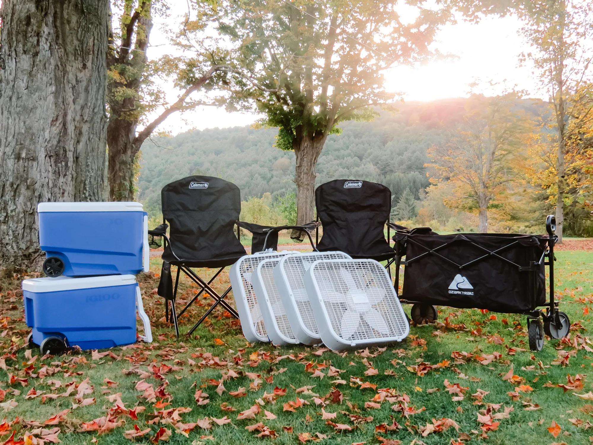 Rental Packages