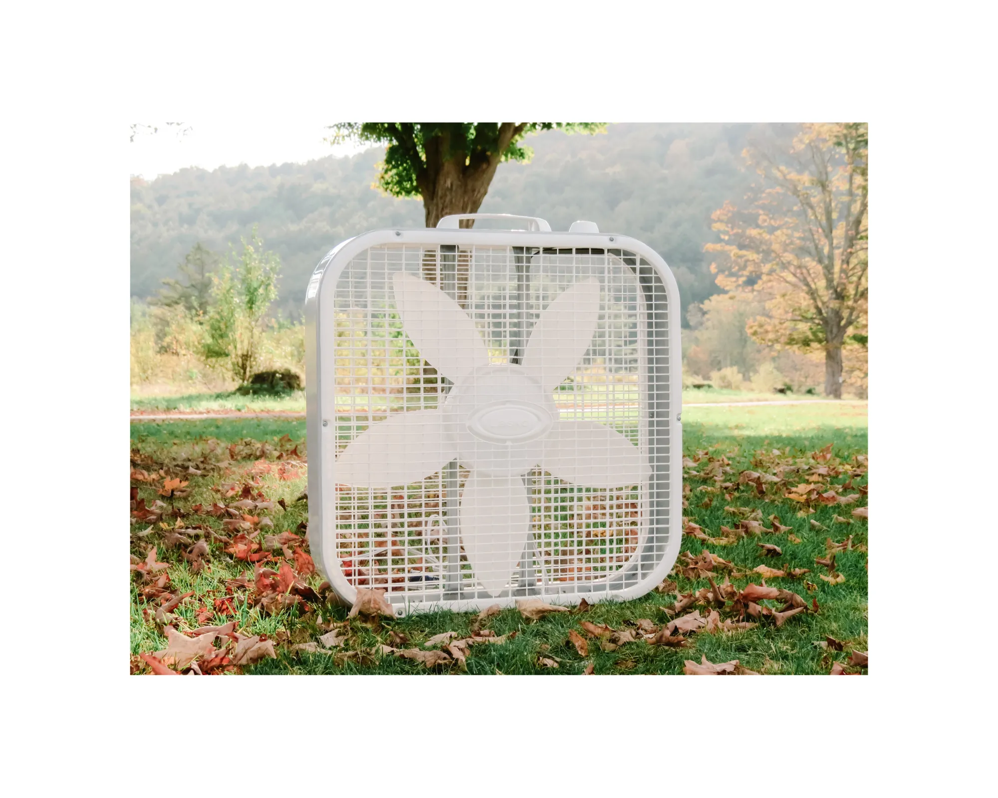 Box Fan  