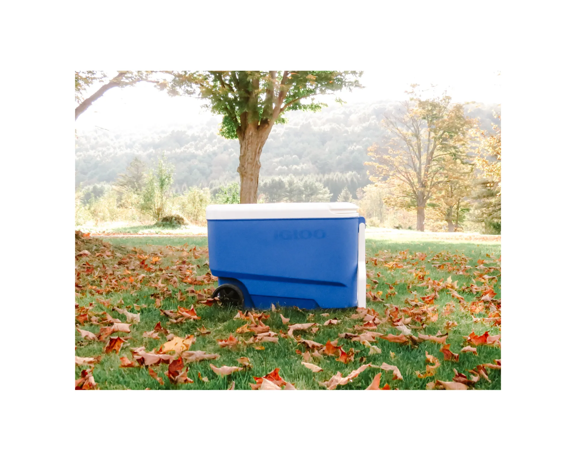 Rolling Cooler