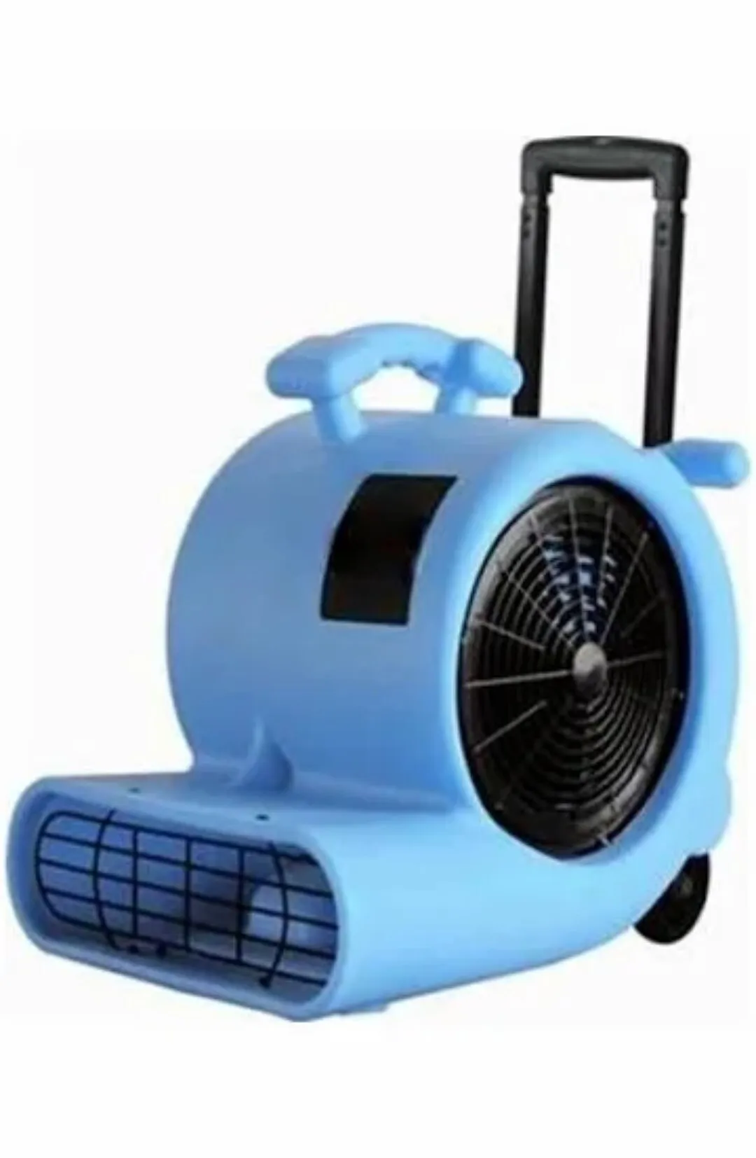 Carpet Fans