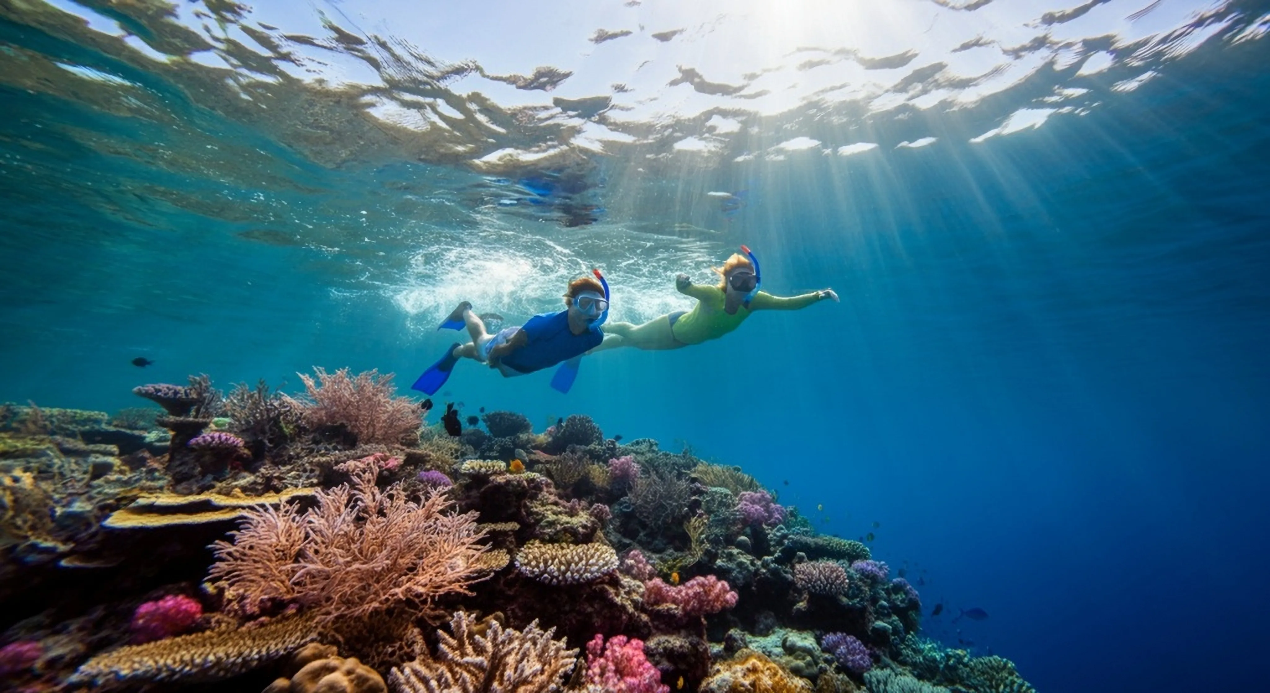 Snorkel Accessories