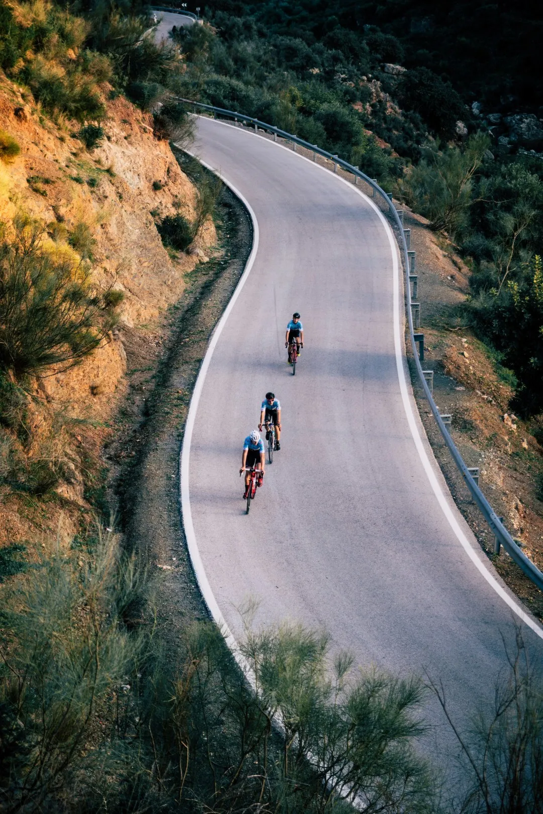 Guided Bike Tours