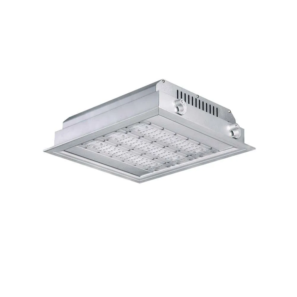 Canopy Lights