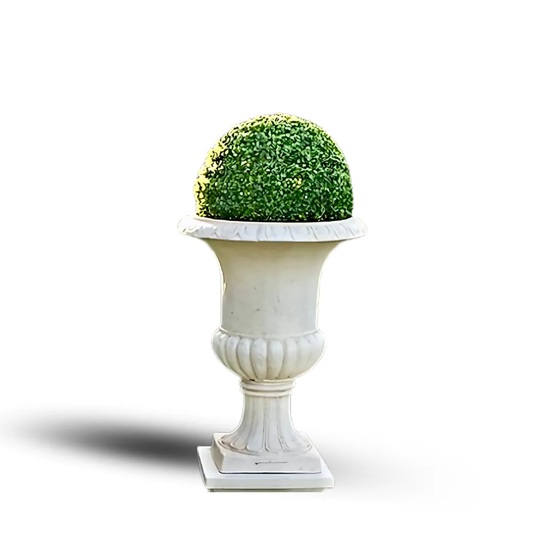Traditional Urn with Boxwood Ball Hire