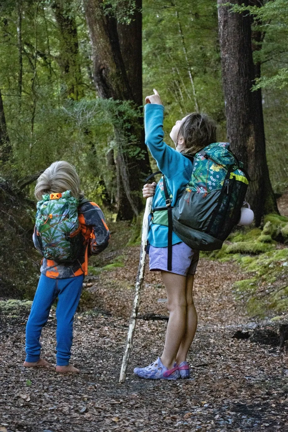 Carriers & Tramping