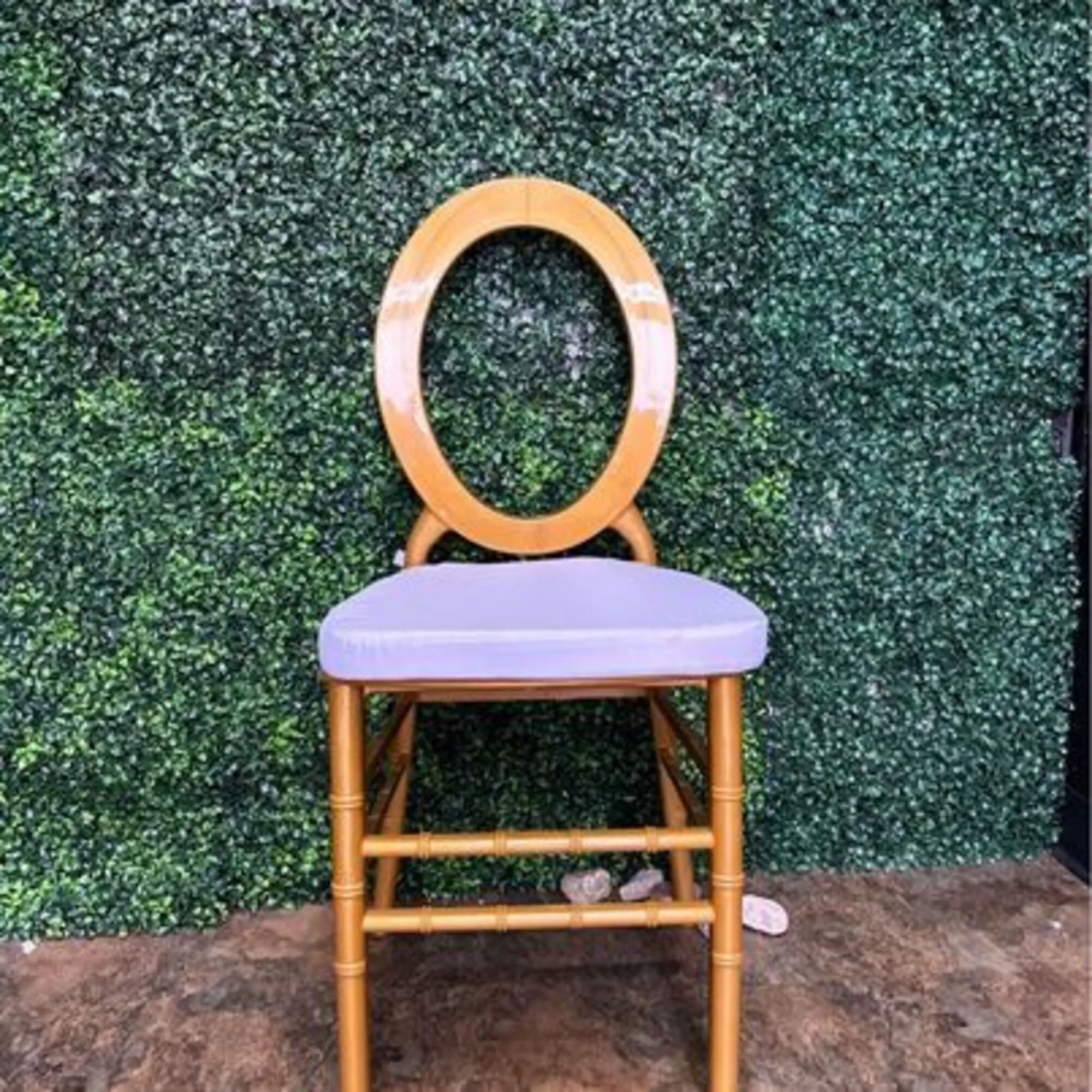 Gold O Back Chair (Economy Plastic) The Luxe Rental Collective