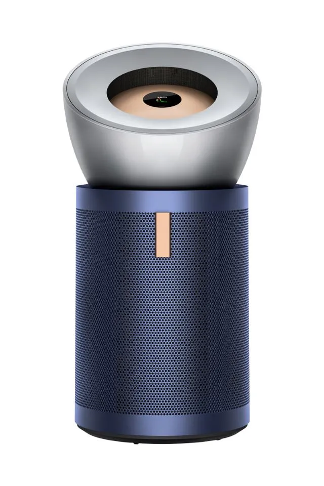 Dyson Big + Quiet