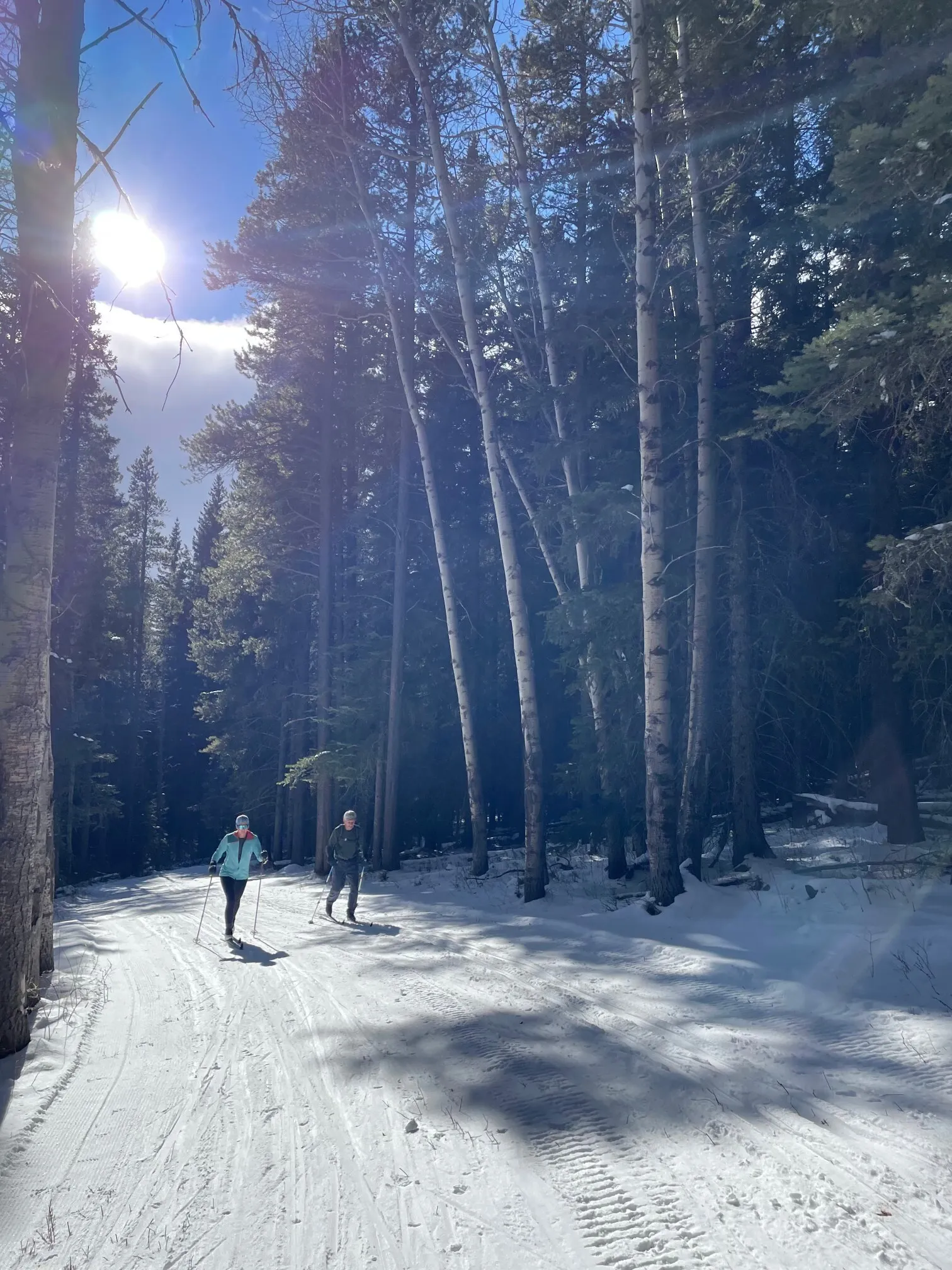 Classic Cross-Country Ski Gear