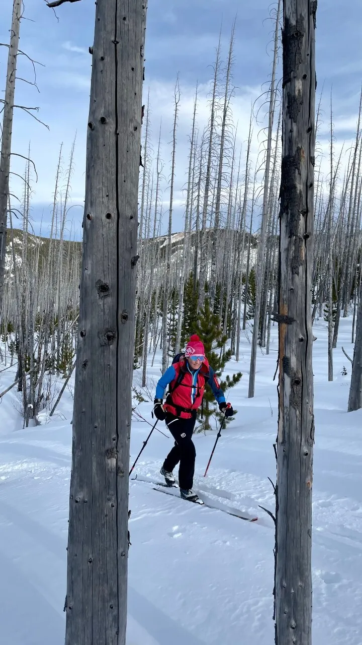 Cross-Country Ski Gear