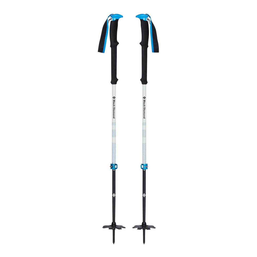 Ski Poles
