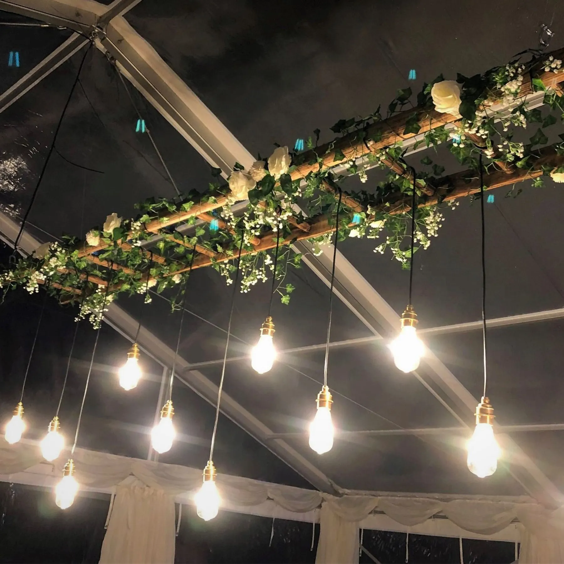 Ladder lights